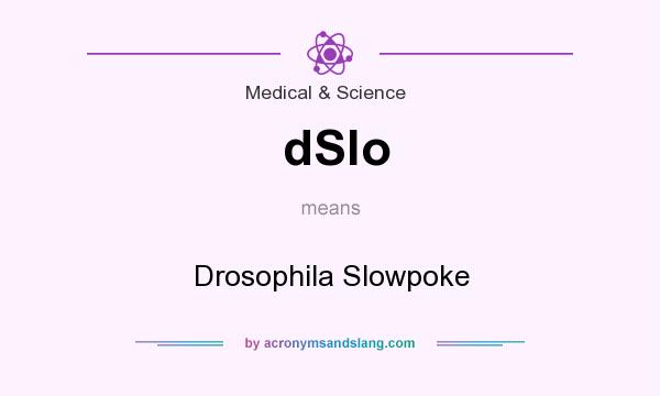 What does dSlo mean? It stands for Drosophila Slowpoke