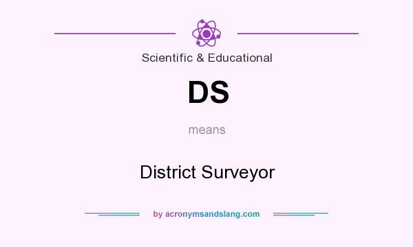 What does DS mean? It stands for District Surveyor