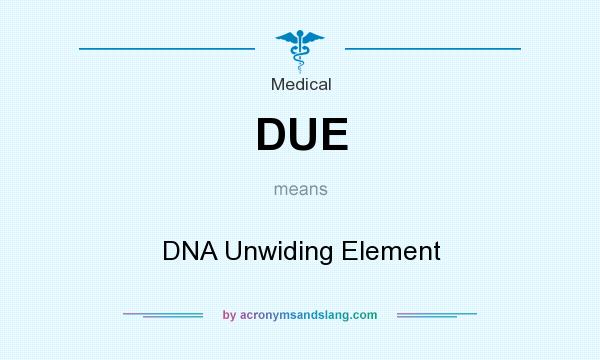 What does DUE mean? It stands for DNA Unwiding Element