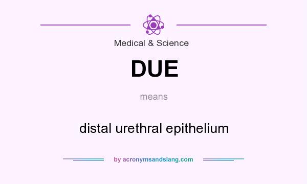 What does DUE mean? It stands for distal urethral epithelium