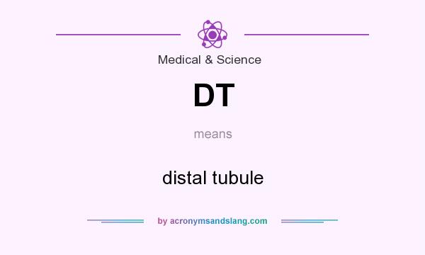 What does DT mean? It stands for distal tubule