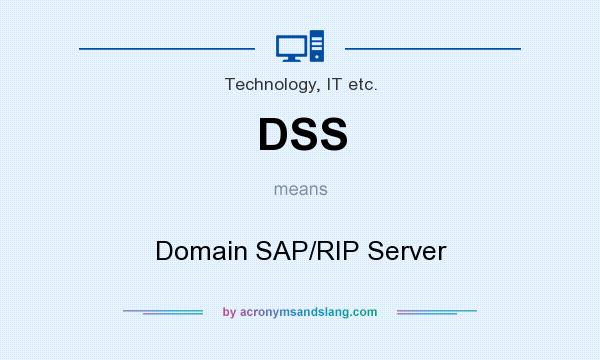 What does DSS mean? It stands for Domain SAP/RIP Server