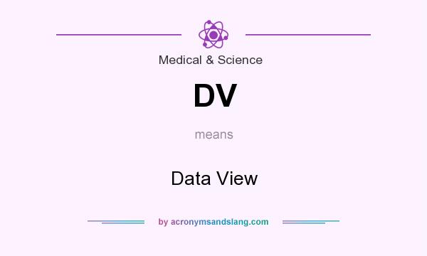 What does DV mean? It stands for Data View