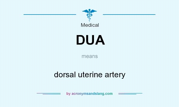 What does DUA mean? It stands for dorsal uterine artery