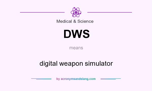 What does DWS mean? It stands for digital weapon simulator