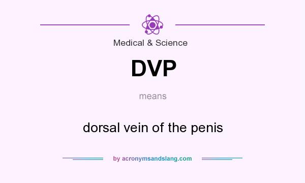 What does DVP mean? It stands for dorsal vein of the penis