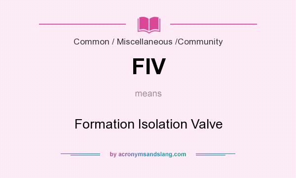 What does FIV mean? It stands for Formation Isolation Valve