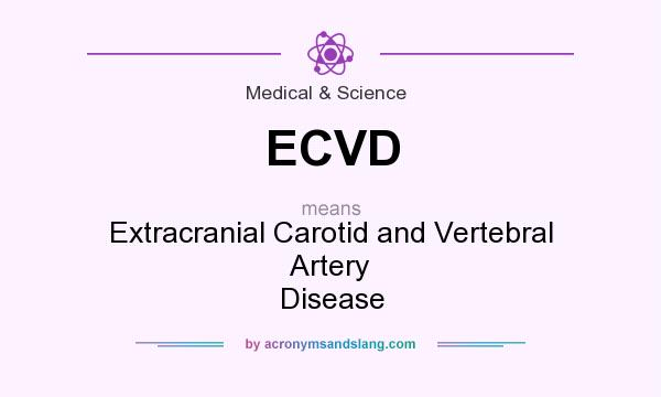 What does ECVD mean? It stands for Extracranial Carotid and Vertebral Artery Disease