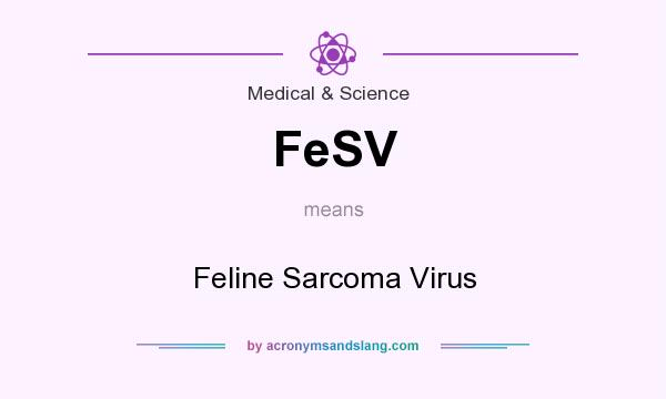 What does FeSV mean? It stands for Feline Sarcoma Virus