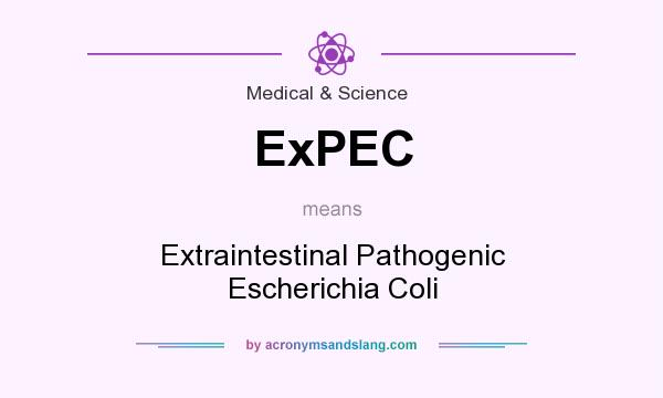 What does ExPEC mean? It stands for Extraintestinal Pathogenic Escherichia Coli