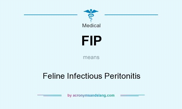 What does FIP mean? It stands for Feline Infectious Peritonitis