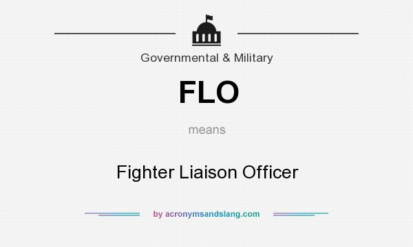 What does FLO mean? It stands for Fighter Liaison Officer