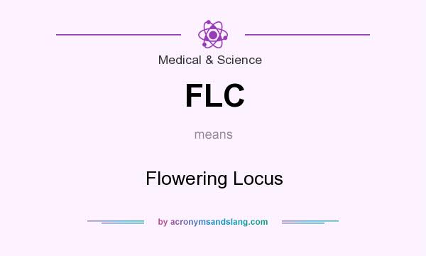 What does FLC mean? It stands for Flowering Locus