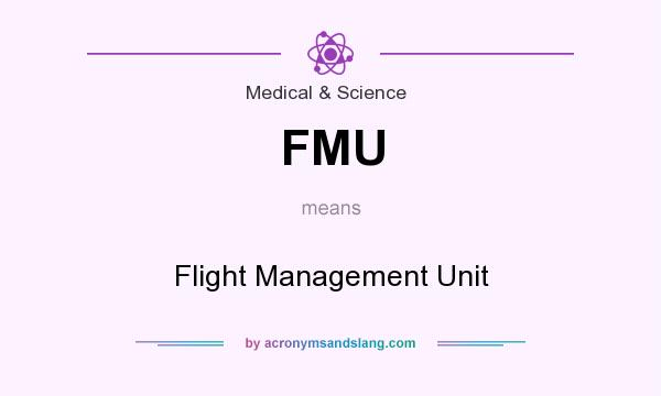 What does FMU mean? It stands for Flight Management Unit