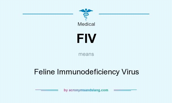 What does FIV mean? It stands for Feline Immunodeficiency Virus