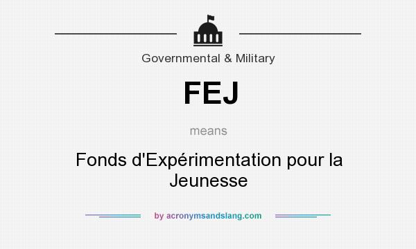 What does FEJ mean? It stands for Fonds d`Expérimentation pour la Jeunesse