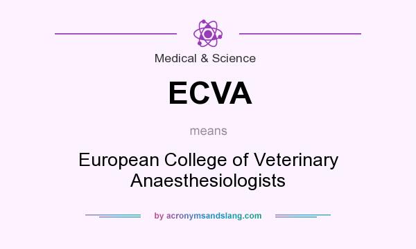 What does ECVA mean? It stands for European College of Veterinary Anaesthesiologists