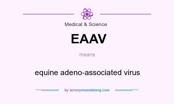 What does EAAV mean? It stands for equine adeno-associated virus