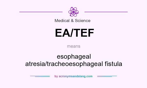 What does EA/TEF mean? It stands for esophageal atresia/tracheoesophageal fistula