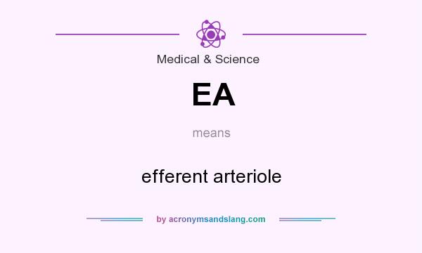 What does EA mean? It stands for efferent arteriole