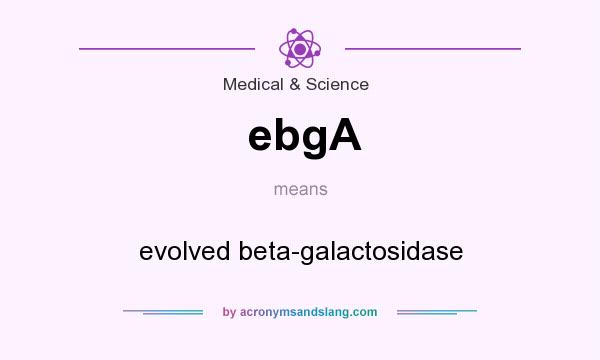 What does ebgA mean? It stands for evolved beta-galactosidase
