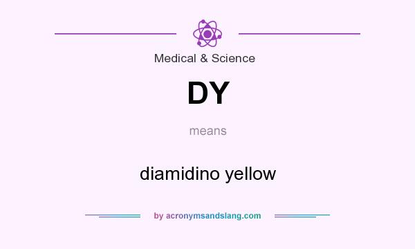 What does DY mean? It stands for diamidino yellow