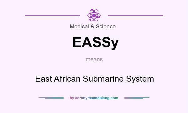 What does EASSy mean? It stands for East African Submarine System