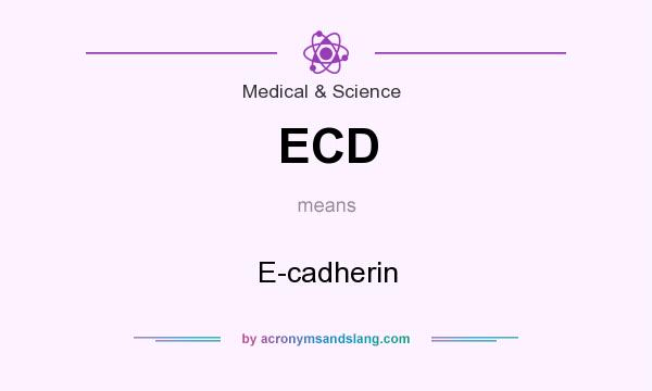 What does ECD mean? It stands for E-cadherin