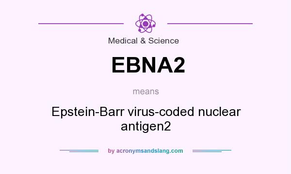 What does EBNA2 mean? It stands for Epstein-Barr virus-coded nuclear antigen2