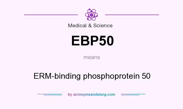 What does EBP50 mean? It stands for ERM-binding phosphoprotein 50