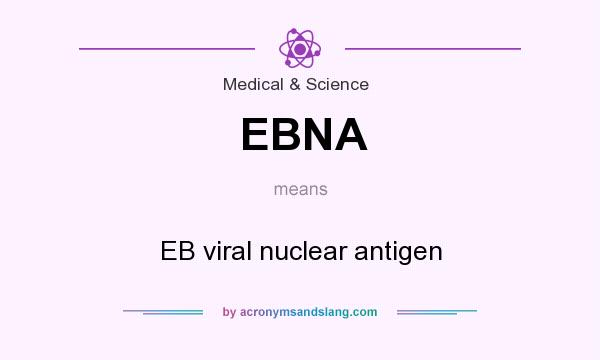 What does EBNA mean? It stands for EB viral nuclear antigen