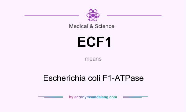 What does ECF1 mean? It stands for Escherichia coli F1-ATPase