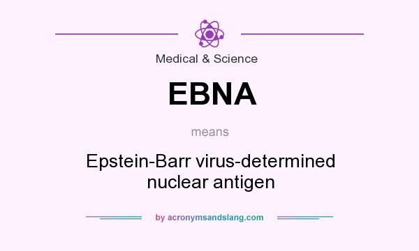 What does EBNA mean? It stands for Epstein-Barr virus-determined nuclear antigen