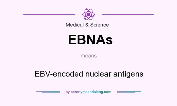 What does EBNAs mean? It stands for EBV-encoded nuclear antigens