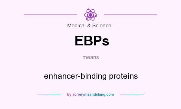 What does EBPs mean? It stands for enhancer-binding proteins