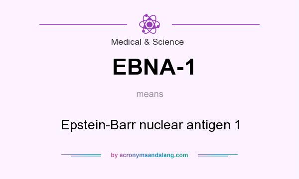 What does EBNA-1 mean? It stands for Epstein-Barr nuclear antigen 1