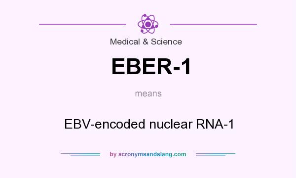What does EBER-1 mean? It stands for EBV-encoded nuclear RNA-1