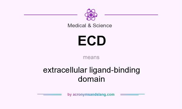 What does ECD mean? It stands for extracellular ligand-binding domain