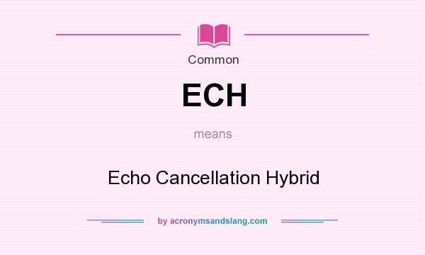 What does ECH mean? It stands for Echo Cancellation Hybrid