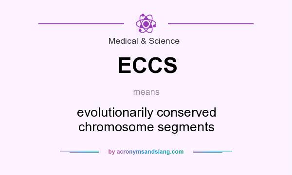 What does ECCS mean? It stands for evolutionarily conserved chromosome segments