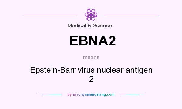 What does EBNA2 mean? It stands for Epstein-Barr virus nuclear antigen 2