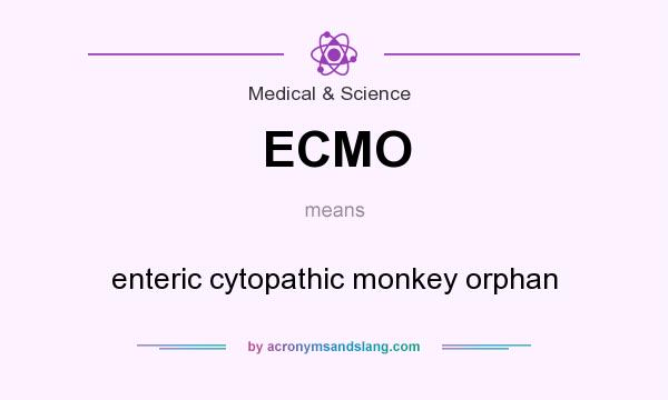 What does ECMO mean? It stands for enteric cytopathic monkey orphan