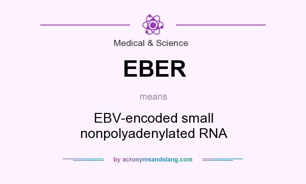 What does EBER mean? It stands for EBV-encoded small nonpolyadenylated RNA