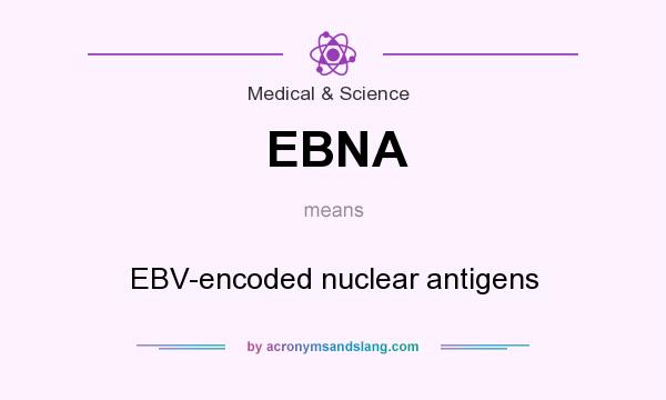 What does EBNA mean? It stands for EBV-encoded nuclear antigens