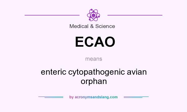 What does ECAO mean? It stands for enteric cytopathogenic avian orphan
