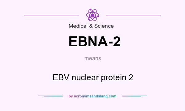 What does EBNA-2 mean? It stands for EBV nuclear protein 2