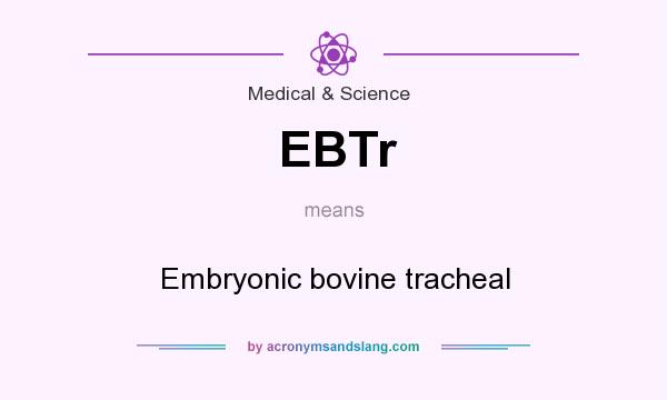 What does EBTr mean? It stands for Embryonic bovine tracheal
