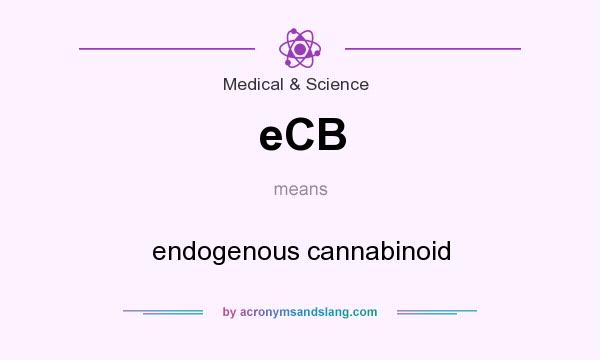 What does eCB mean? It stands for endogenous cannabinoid