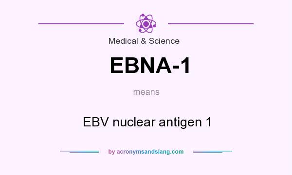 What does EBNA-1 mean? It stands for EBV nuclear antigen 1