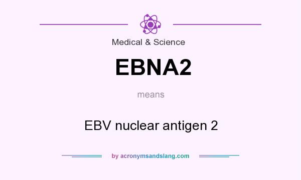 What does EBNA2 mean? It stands for EBV nuclear antigen 2